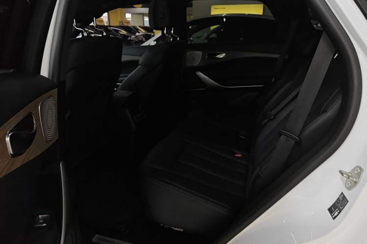 Used Denza X 2020 PHEV Flagship Edition Left Rear Seat