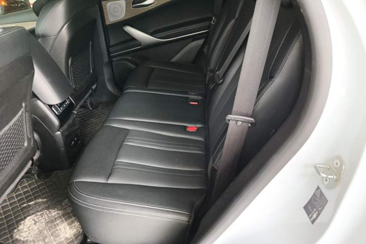 Used Denza X 2020 PHEV Classic Edition Left Rear Seat