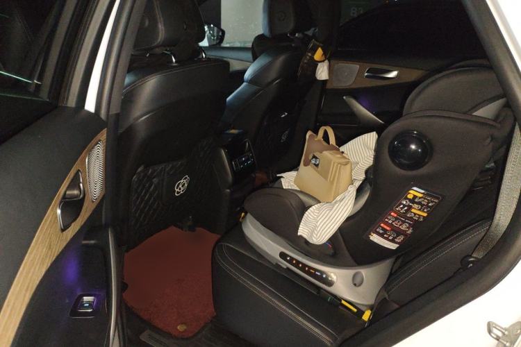 Used Denza X 2020 PHEV Flagship Edition Left Rear Seat