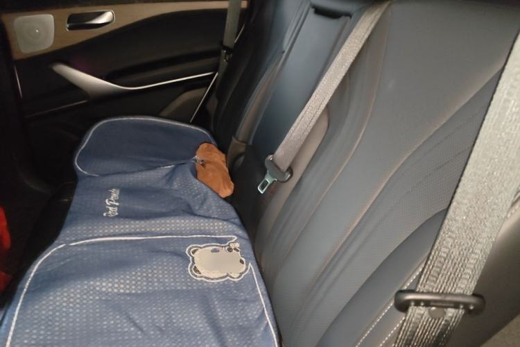 Used Denza X 2020 PHEV Flagship Edition Left Rear Seat