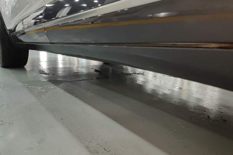 Used Denza X 2020 PHEV Flagship Edition Left Side Sill