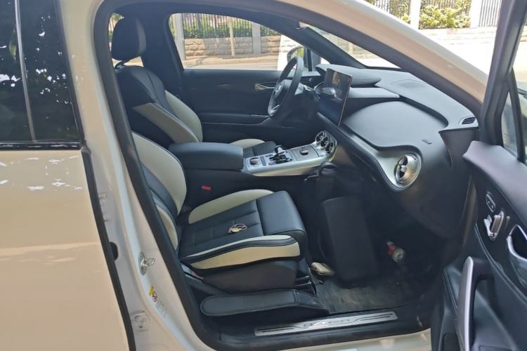 Used Denza X 2020 PHEV Sport Edition Right Front Seat