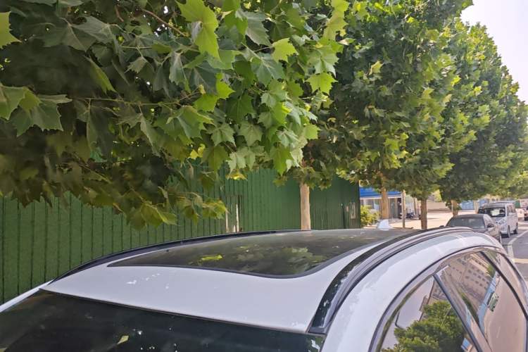 Used Denza X 2020 PHEV Sport Edition Roof