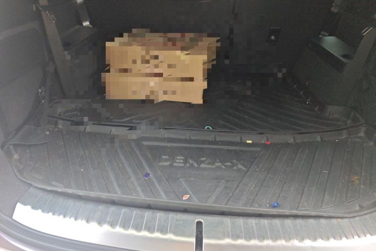 Used Denza X 2020 PHEV Flagship Edition Trunk