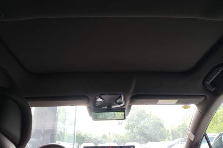 Used Denza Z9 2024 1100 km Four-Wheel Drive Max Version Headliner