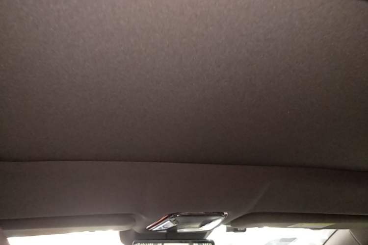 Used Denza Z9 2024 1100 km Four-Wheel Drive Max Version Headliner