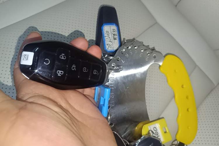 Used Denza Z9 2024 1100 km Four-Wheel Drive Max Version Vehicle Key