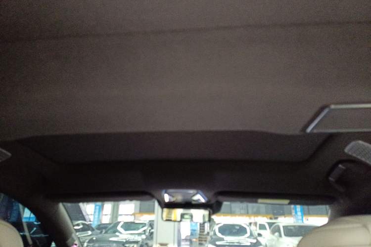 Used Denza Z9 2024 1100 km Four-Wheel Drive Max Version Headliner
