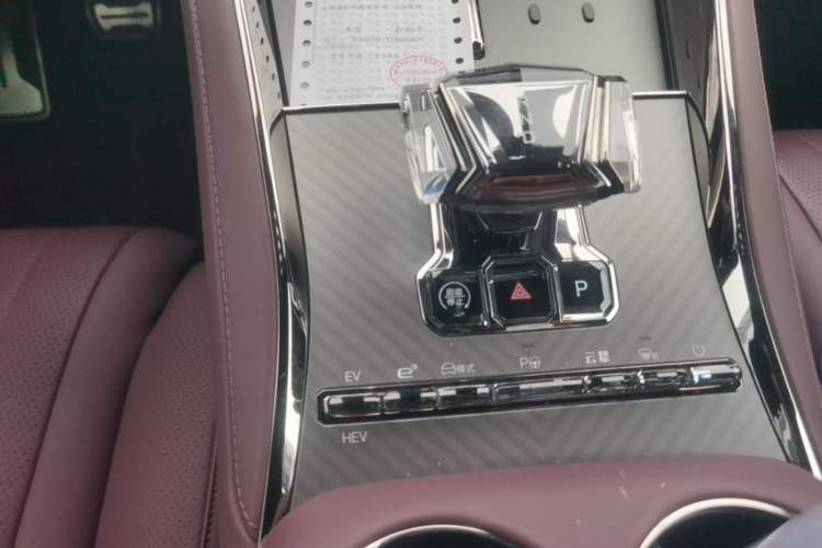 Used Denza Z9GT 2024 1100 4x4 Max First Edition Gear Lever