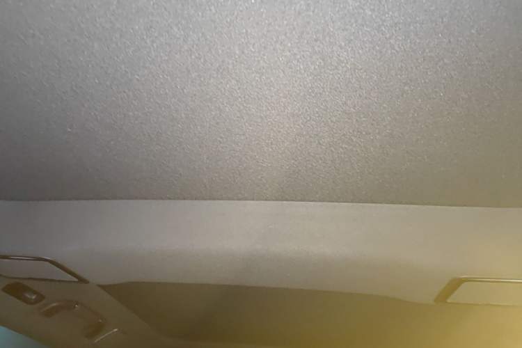 Used Denza Z9GT 2024 1100 4x4 Pro Version Headliner