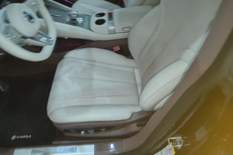 Used Denza Z9GT 2024 1100 Four-Wheel Drive Ultra Version Left Front Seat