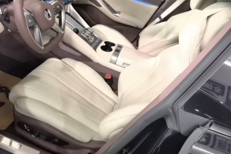 Used Denza Z9GT 2024 630 All-Wheel Drive Max Edition Left Front Seat