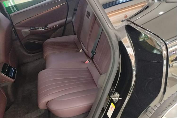 Used Denza Z9GT 2024 1100 Four-Wheel Drive Max Edition Left Rear Seat