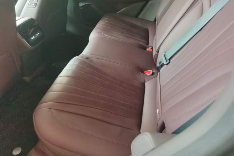 Used Denza Z9GT 2024 1100 4x4 Pro Version Left Rear Seat