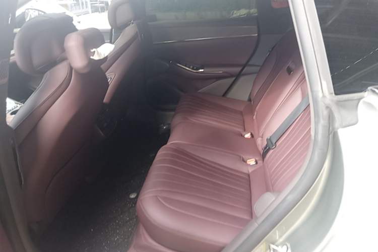 Used Denza Z9GT 2024 1100 4x4 Pro Version Left Rear Seat