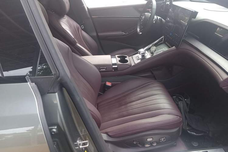 Used Denza Z9GT 2024 1100 4x4 Pro Version Right Front Seat