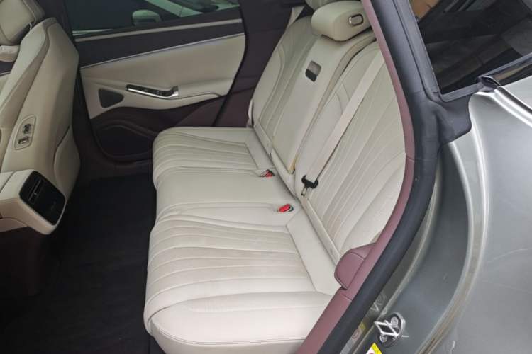 Used Denza Z9GT 2024 1100 Four-Wheel Drive Max Edition Left Rear Seat