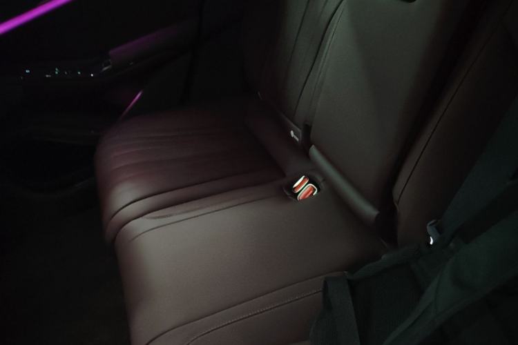 Used Denza Z9GT 2024 1100 Four-Wheel Drive Max Edition Left Rear Seat