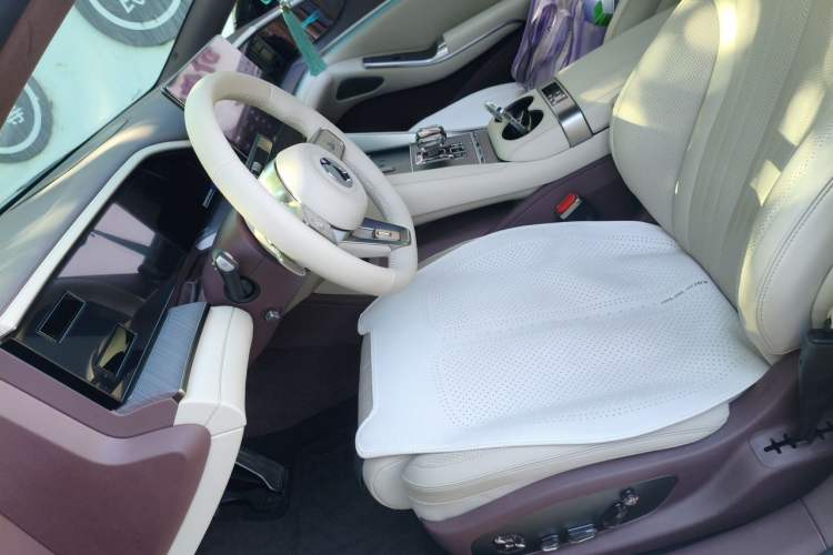 Used Denza Z9GT 2024 1100 4x4 Pro Version Left Front Seat