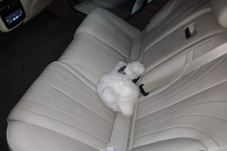 Used Denza Z9GT 2024 1100 4x4 Max First Edition Left Rear Seat