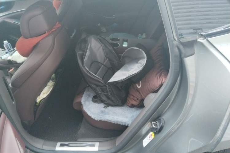 Used Denza Z9GT 2024 1100 Four-Wheel Drive Max Edition Left Rear Seat