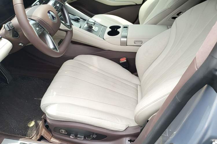 Used Denza Z9GT 2024 1100 Four-Wheel Drive Max Edition Left Front Seat
