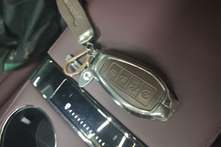 Used Denza Z9GT 2024 1100 Four-Wheel Drive Max Edition Vehicle Key