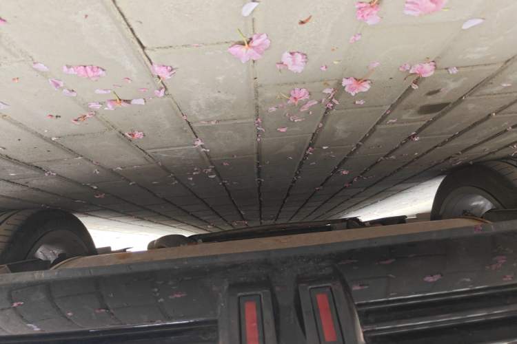 Used Denza Z9GT 2024 1100 Four-Wheel Drive Max Edition Chassis Rear