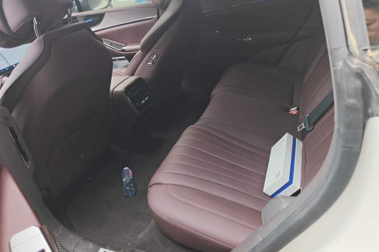 Used Denza Z9GT 2024 1100 Four-Wheel Drive Max Edition Left Rear Seat