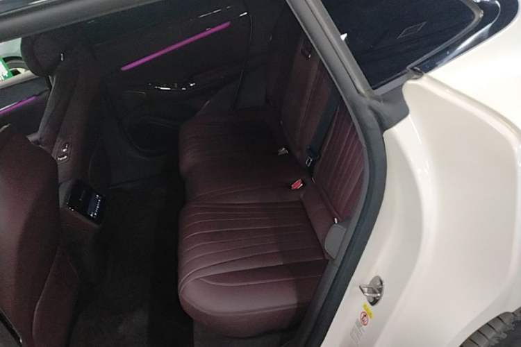 Used Denza Z9GT 2024 630 All-Wheel Drive Pro Version Left Rear Seat