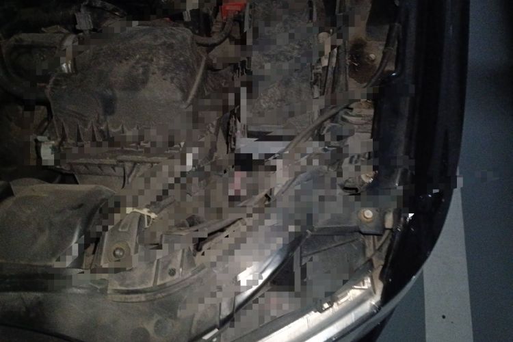 Used Dodge Journey 2013 2.4L Two-Wheel Drive Luxury Version Engine Bay Left