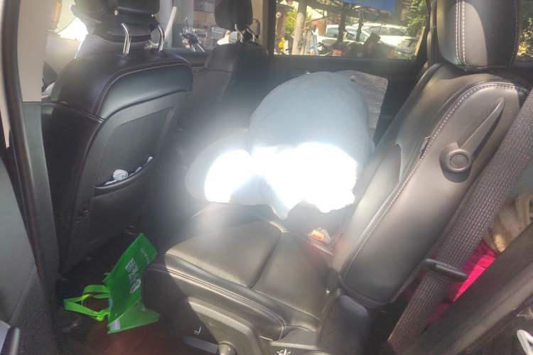 Used Dodge Journey 2013 2.4L Two-Wheel Drive Luxury Version Left Rear Seat