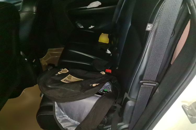 Used Dodge Journey 2013 2.4L Two-Wheel Drive Luxury Version Left Rear Seat