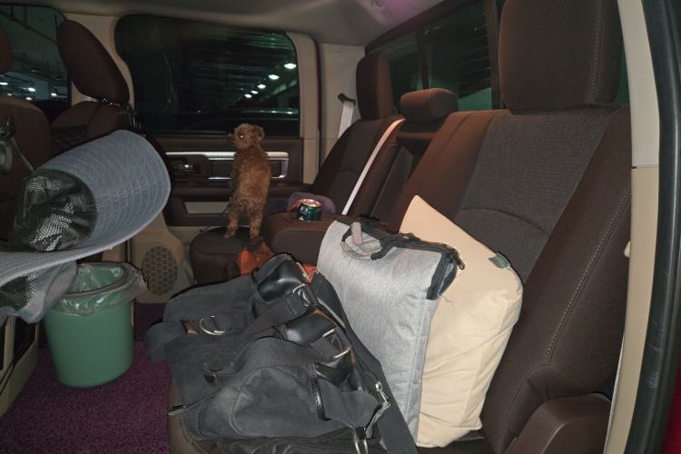 Used Dodge SRT  Left Rear Seat