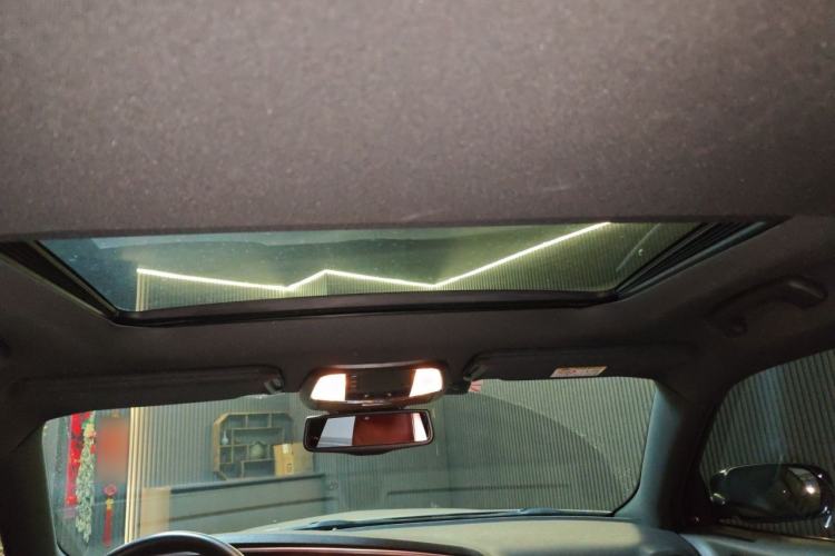 Used Dodge SRT  Headliner