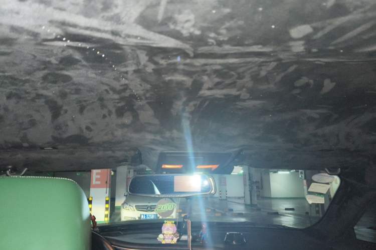 Used Dodge SRT  Headliner