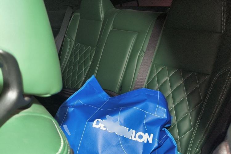 Used Dodge SRT  Left Rear Seat