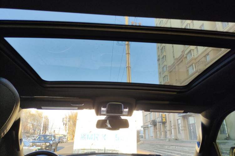 Used Dodge SRT  Headliner