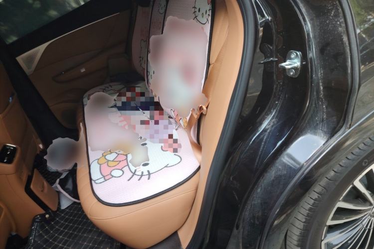 Used Dongfeng Aeolus L8 2025 Model 185KM Ideal Edition Left Rear Seat