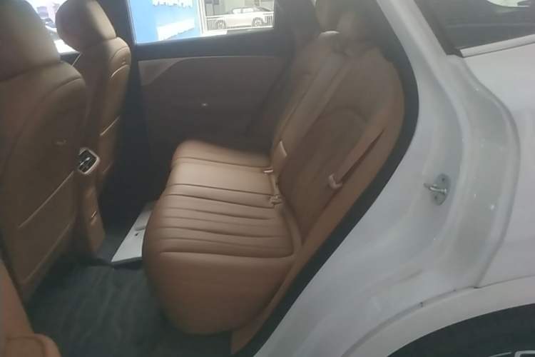 Used Dongfeng Aeolus L8 2025 Model 185KM Dream Edition Left Rear Seat