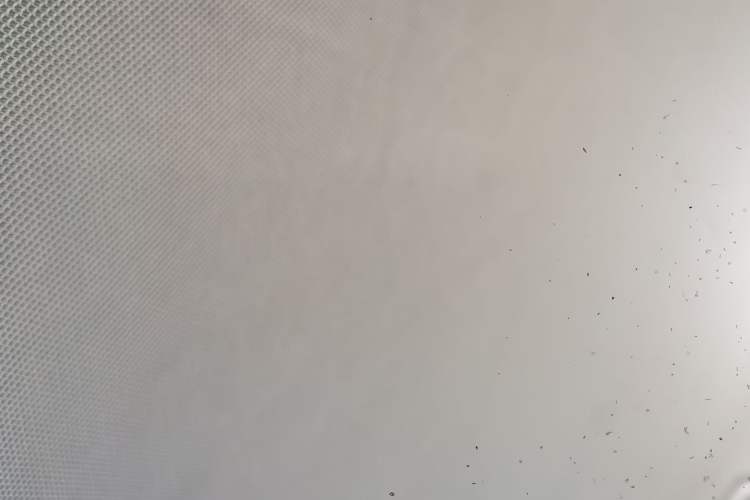 Used Dongfeng Aeolus AX3 2016 1.5L Automatic Shangkue Model Headliner