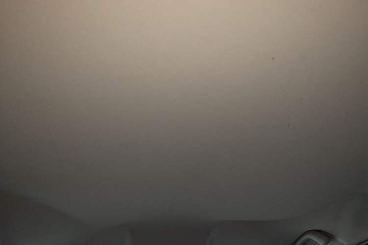 Used Dongfeng Aeolus AX3 2016 1.5L Automatic Shangkue Model Headliner