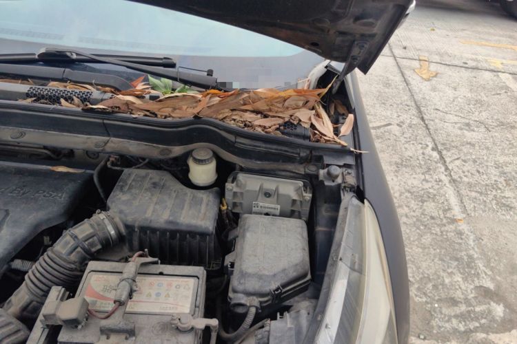 Used Dongfeng Aeolus AX7 2015 2.0L Automatic Zhiyue Version Engine Bay Left
