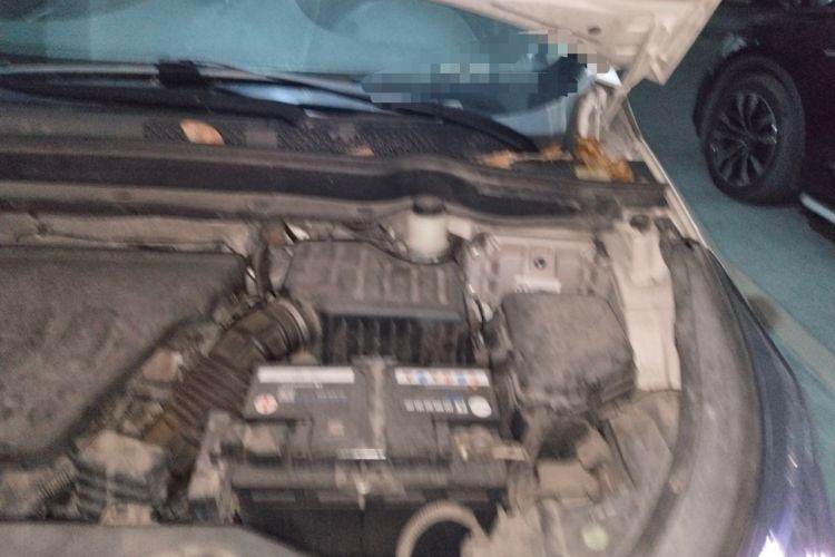 Used Dongfeng Aeolus AX7 2016 2.0L Automatic Zhiyi Trim Engine Bay Left