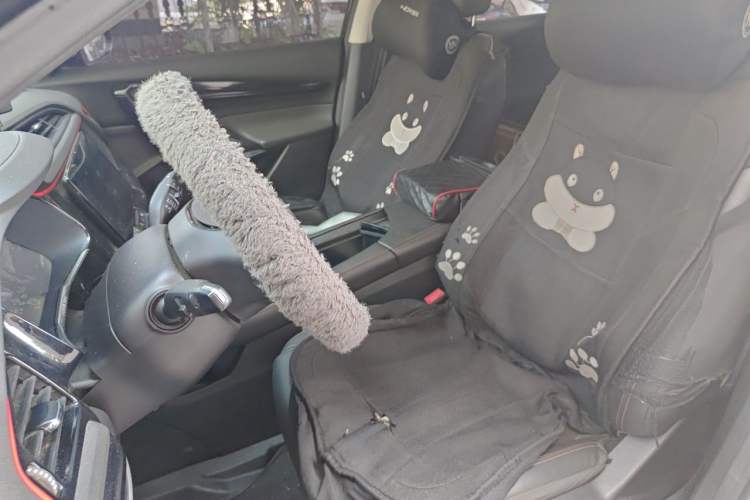 Used Dongfeng Aeolus AX7 2022 Mach Edition 1.5T DCT DF31 Left Front Seat