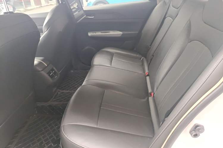Used Dongfeng Aeolus E60 2021 360H Beauty Leopard Edition Left Rear Seat
