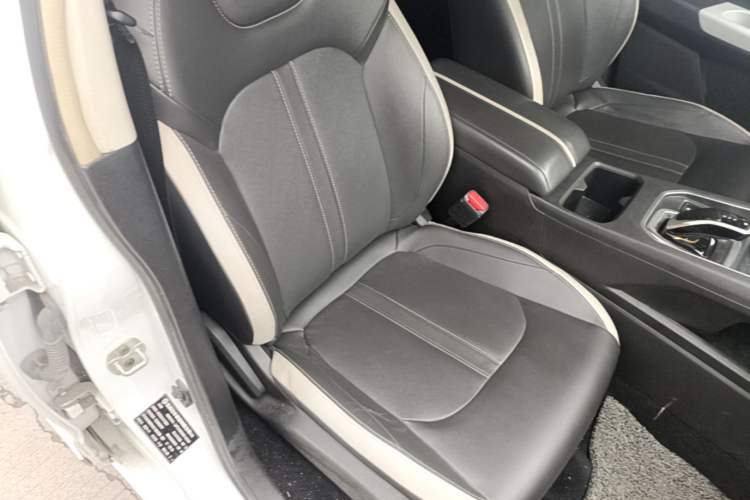 Used Dongfeng Aeolus E60 2021 360H Beauty Leopard Edition Right Front Seat