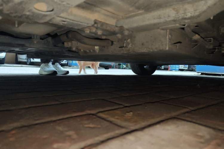 Used Dongfeng Aeolus E70 2019 500 Ultra-Comfort Edition Chassis Front Left