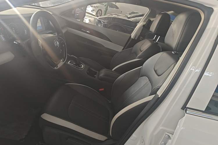 Used Dongfeng Aeolus E70 2020 500 Supreme Edition Left Front Seat