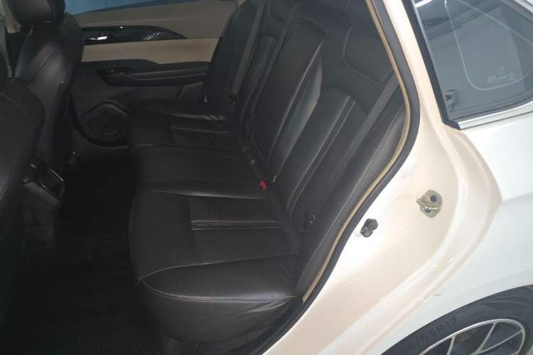 Used Dongfeng Aeolus E70 2020 600 Super Delight Edition Left Rear Seat